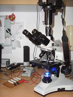 Biolab