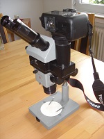 MBS-10